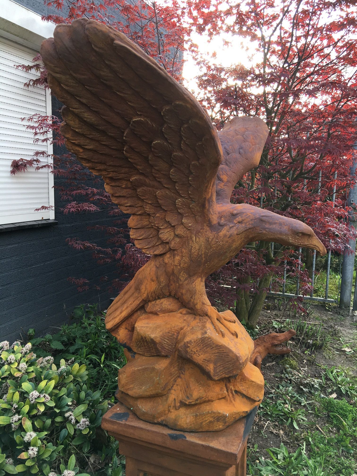 Sehr großer Adler-Oxydstein in Beutefangaktion, braun